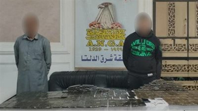 بـ 1.8 مليون جنيه.. ضبط عاطلين بحوزتهما 250 طربة حشيش في الدقهلية