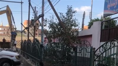 بالأعلام وقص الأشجار.. القليوبية تتزين لاستقبال المواطنين في الانتخابات الرئاسية| بث مباشر 