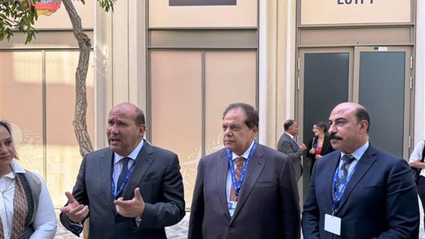 محافظ أسوان