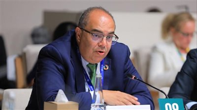 محمود محيي الدين: تطوير منظومة الحماية الاجتماعية يجب أن يشمل التعامل مع المخاطر وتوفير تمويل مستمر