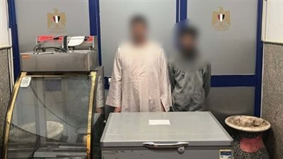 الداخلية: ضبط لصوص كابلات أبراج الضغط العالي والشقق بالمحافظات |صور