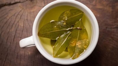 يعالج 10 مشاكل.. فوائد ورق السدر المغلي.. يقلل التهاب الجهاز التنفسي 