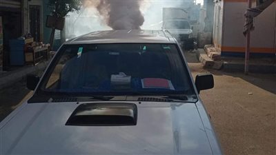 تطهير المقرات الانتخابية في قنا للقضاء على الحشرات | صور