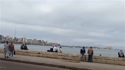 سحب ركامية وغيوم تغطي سماء الإسكندرية وتوقعات بهطول الأمطار بالتزامن مع نوة قاسم | بث مباشر