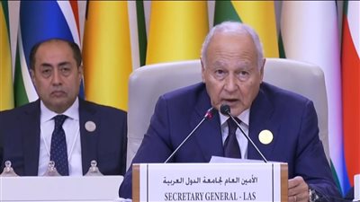 أبو الغيط: عدم اعتماد مشروع قرار لوقف إطلاق النار في غزة يهدد الاستقرار الإقليمي