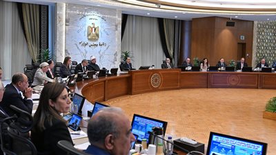 مجلس الوزراء: 73.3 مليار جنيه استثمارات بالمشروعات القومية بسيناء خلال عام 2022 - 2023