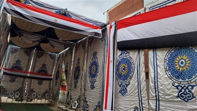 فراشة وإنارة وكراسٍ متحركة لذوي الهمم.. اللمسات النهائية لاستعدادات الانتخابات الرئاسية في الدقهلية