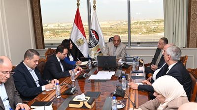 وزير قطاع الأعمال: تيسير إجراءات التصويت الانتخابي على العاملين لأداء واجبهم