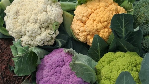 فوائد القرنبيط