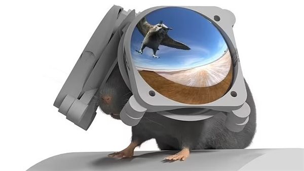 نظارات الواقع الافتراضي