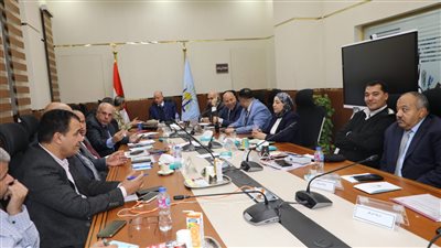 محافظ القاهرة: مد العمل بـ 14 لجنة بسبب الإقبال الشديد على التصويت بالانتخابات الرئاسية