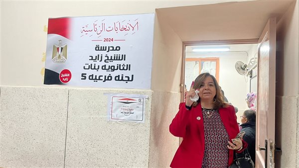 الرئيس التنفيذي لصندوق