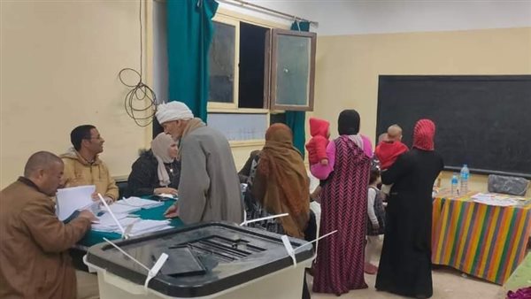 إقبال داخل لجان الانتخابات