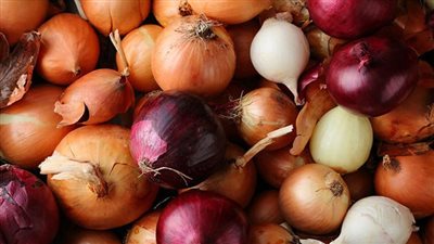  شعبة الخضراوات تتوقع موعد تراجع سعر كيلو البصل لـ 15 جنيها