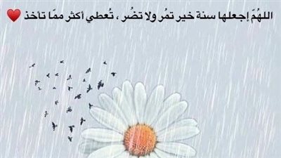 تهاني السنة الجديدة 2024.. أجمل الكلمات للحبيب وبوستات للفيس