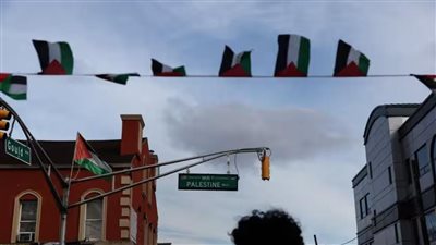 مواطنون من أصول عربية بأمريكا يبدأون إضرابا عاما لوقف إطلاق النار في غزة