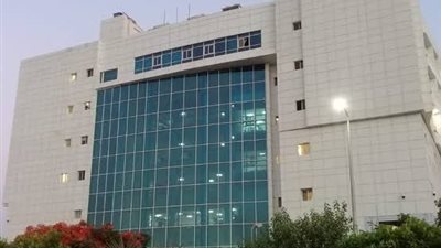 أحدهما حالته خطيرة.. سقوط مصابين في مشاجرة بالسلاح الأبيض بالمنوفية 