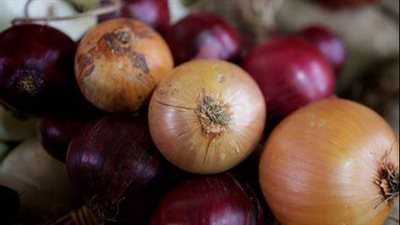 شعبة الخضار تكشف أسباب ارتفاع سعر البصل.. وهذا موعد انخفاضه