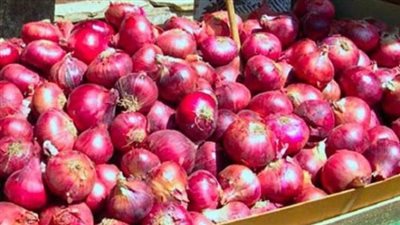 أزمة سعر البصل.. موعد انخفاض الأسعار بالأسوق
