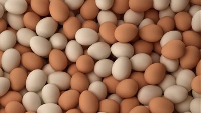 تعرف على أسعار البيض في أسواق مصر اليوم الثلاثاء 2-6-2020