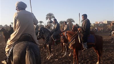 أمن الأقصر يفض “مرماح خيول” لأحد الموالد رغم تحذيرات كورونا (صور)