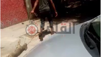 “ربطه بحبل من رقبته وضربه في سور المدرسة”.. تفاصيل تعذيب كلب بالعجوزة بعد سحله على الأرض (فيديو)