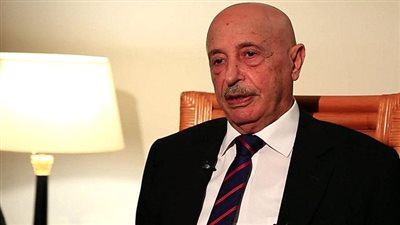 رئيس البرلمان الليبي: نحتاج لدعم الجيش المصري في حربنا ضد الإرهاب