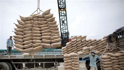 استقرار أسعار الأسمنت اليوم الجمعة 26 يونيو 2020 في الأسواق