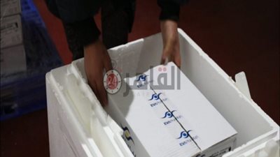 سائقو الشفاء.. رحلة دواء كورونا من الثلاجات حتى دخوله أجساد المصابين (معايشة)