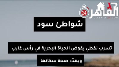 شواطئ سود.. تسرب نفطي يقوض الحياة البحرية في رأس غارب ويهدّد صحة سكانها (تحقيق استقصائي)