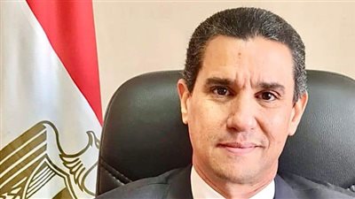 مصر تشارك مجددًا في اجتماعات مجموعة العشرين بدعوة من البرازيل