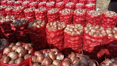 وزير الزراعة يوجه بحملات تفتيشية على مفارش البصل في المحافظات