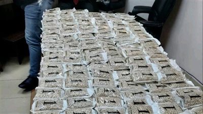 قيمتها تقترب من 200 مليون جنيه.. تفاصيل ضبط مخدرات داخل شحنة يوسفي بميناء سفاجا | بث مباشر