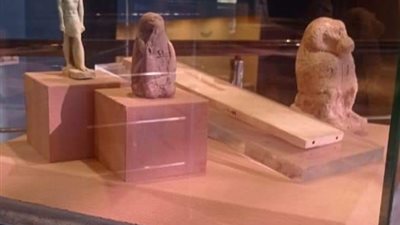 متحف تل بسطا ينظم معرضًا أثريًا لمدة 10 أيام | صور 