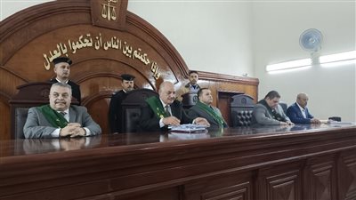 إحالة أوراق المتهمين بإنهاء حياة سائق توك توك بالبحيرة للمفتي