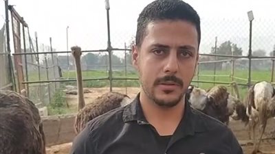  البيضة بـ 2000 جنيه.. مالك مزرعة نعام بالمنوفية: مشروع مربح جدا| بث مباشر 