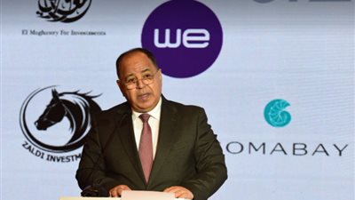 وزير المالية: نعمل حاليا على خطة لجذب الدولار من تصدير العقار 