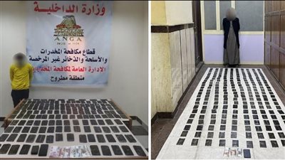 ضبط عنصرين إجراميين بحوزتهما 381 طربة حشيش بالإسكندرية ومطروح| صور 