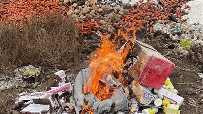 إعدام 7 أطنان مخلل وعلف ومبيدات زراعية فاسدة بالبحيرة