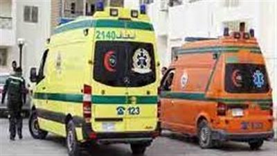 بسبب الشبورة.. إصابة 15 عاملا إثر انقلاب سيارة ربع نقل بالمنيا | بث مباشر 