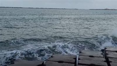 سقوط أمطار على بورسعيد والإسكندرية بالتزامن مع ثاني أيام فصل الشتاء | بث مباشر