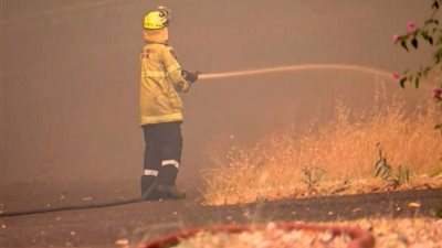 موجة حارة تضرب أستراليا.. والسلطات تحذر من ارتفاع مخاطر حرائق الغابات