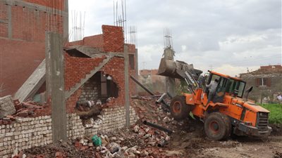 إزالة 7 حالات تعد على الأراضي الزراعية في القليوبية