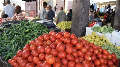 أسعار الخضراوات والفاكهة اليوم الاثنين 24 نوفمبر 2025 في الأسواق