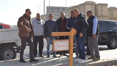 هنا ترقد شجرة برتقال.. أول تعليق من هيئة نظافة القاهرة على الصورة المتدوالة بحديقة جاردينا