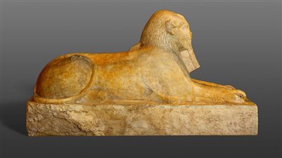 فمه صغير ومبتسم.. المتحف المصري بالتحرير يعرض تمثال أبو الهول للملكة حتشبسوت