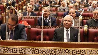 جهاز حماية وتنمية البحيرات يكشف أسباب ارتفاع أسعار الأسماك 