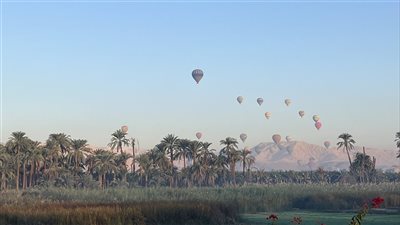 بالتزامن مع الكريسماس.. 1320 سائحًا يزينون سماء الأقصر على متن 55 رحلة بالون