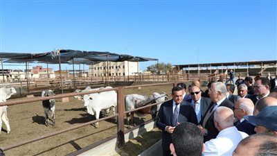 وزيرا الزراعة والتنمية المحلية ومحافظ بورسعيد يتفقدون محطة تسمين الماشية والمجزر الآلي| بث مباشر 