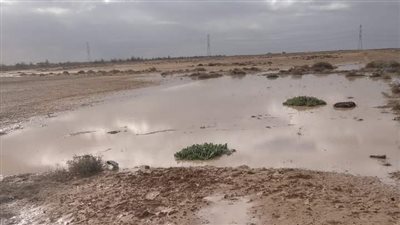 سقوط أمطار على مناطق متفرقة بمراكز الساحل الشمالي بمطروح
